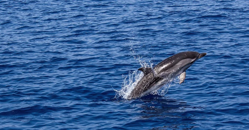 Peut-on se baigner dans la mer à Madagascar ?
