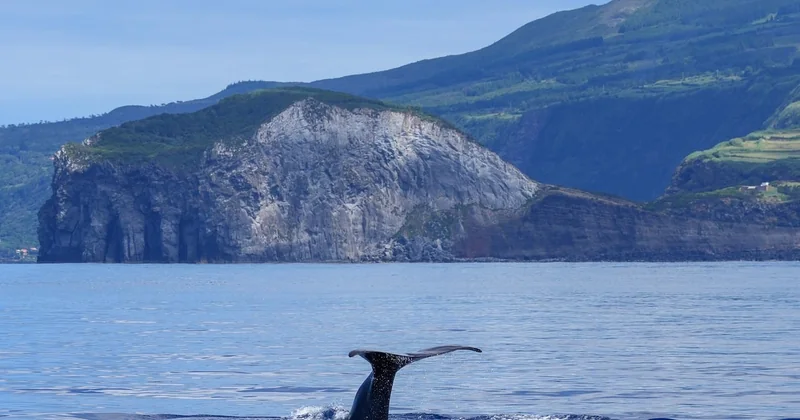 Quelle île choisir pour embarquer ?